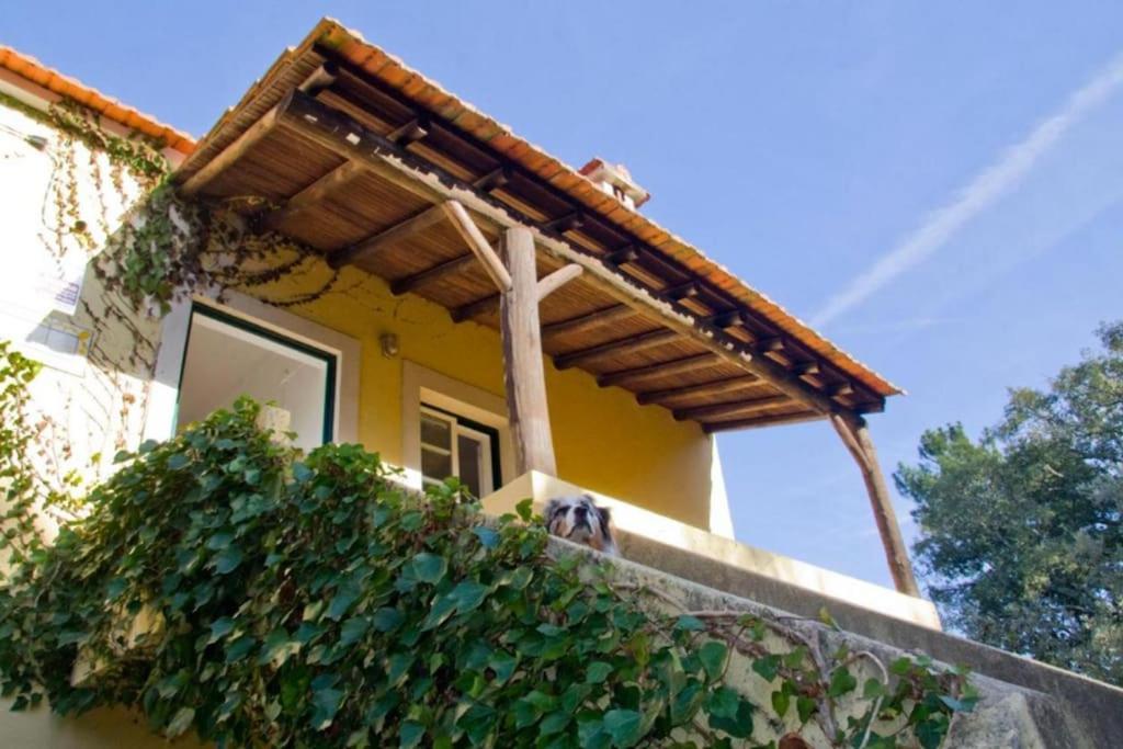Villa Casa Da Ruiva Serra Exterior foto